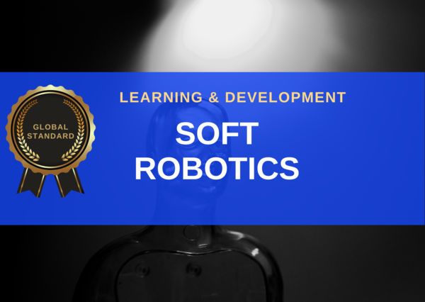 Sol Robotics Introduction to Soft Robotics